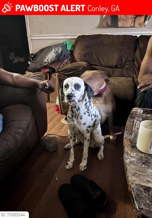 Lost Female Dog last seen Rockcut, Conley, GA 30288