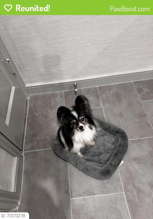 Reunited Unknown Dog last seen Between Yoakum and Main St on Bissonnet, Houston, TX 77005