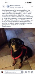 Lost Female Dog last seen Hacienda and Noche Vista Ln, Tiburon, CA 94920