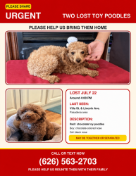 Lost Male Dog last seen Lincoln Ave & Villa St, Altadena, CA 91001