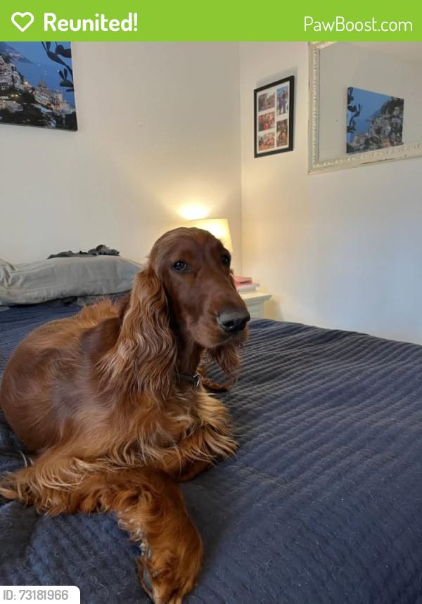 Reunited Female Dog last seen NW Paulina Dr. & NW Metolius Dr., Rockcreek, OR 97229