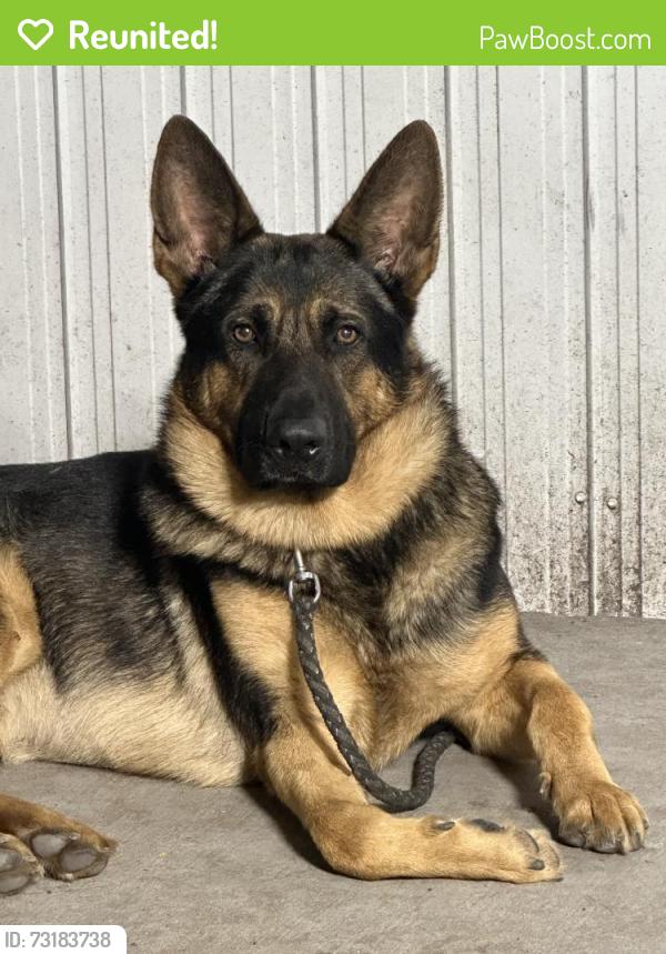 Reunited Male Dog last seen Near W 32nd St, Hialeah, FL 33012, USA, Hialeah, FL 33012