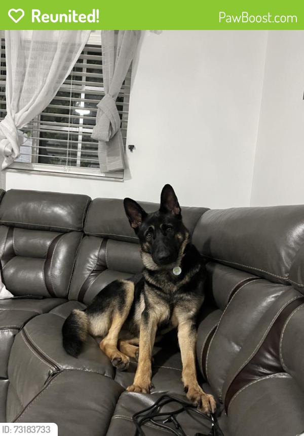 Reunited Female Dog last seen Near W 32nd St, Hialeah, FL 33012, USA, Hialeah, FL 33012