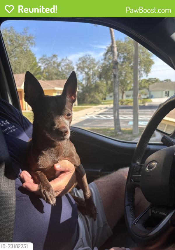 Reunited Female Dog last seen Landover and Mariner, Spring Hill, FL 34608
