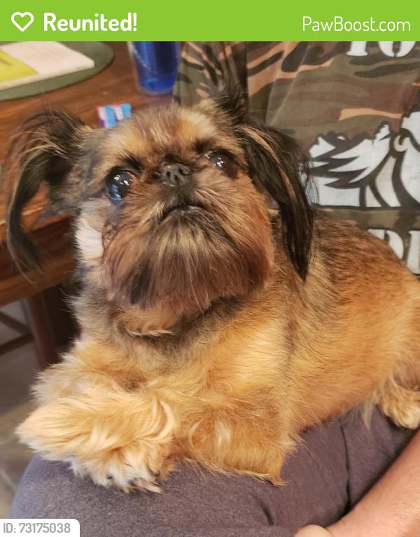 Reunited Female Dog last seen Autumn Oaks, Chester, VA 23831