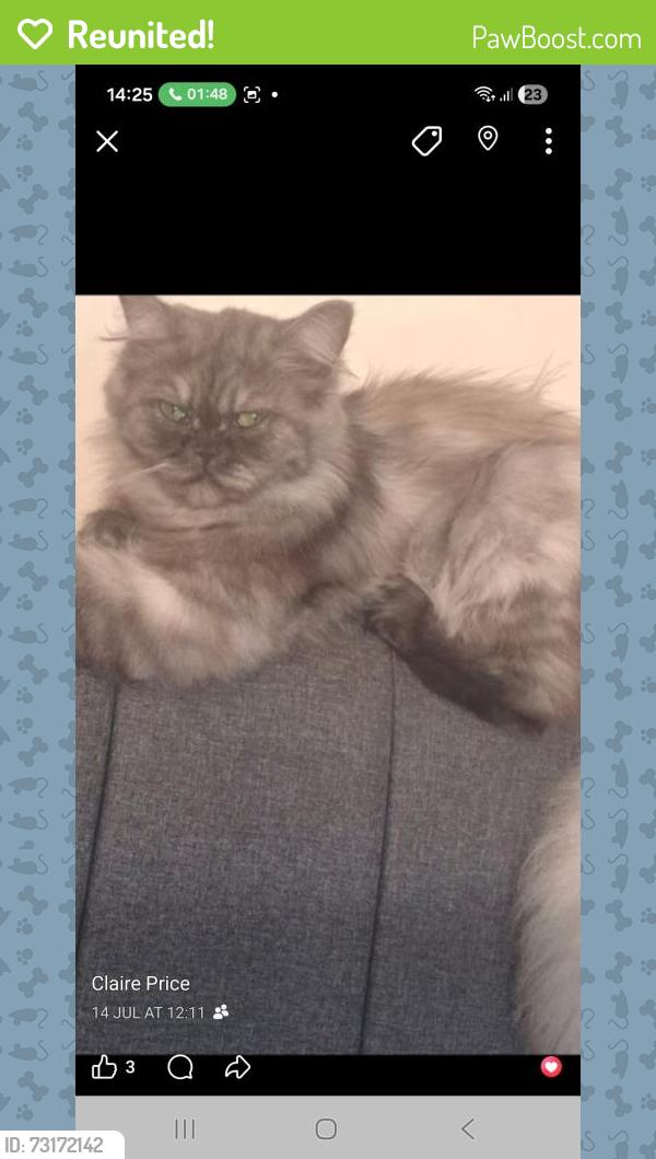 Reunited Female Cat last seen Bs16 2pt, Fishponds, England BS16 5BP