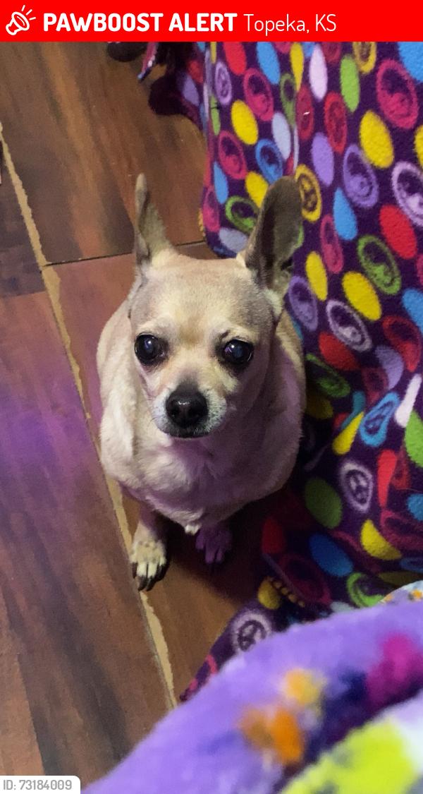 Lost Female Dog last seen Near NE Chester Ave, Topeka, KS 66616