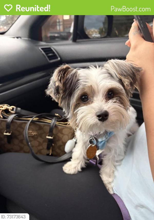 Reunited Female Dog last seen e illif ave, Aurora, CO 80013