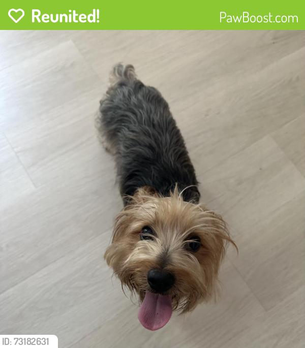 Reunited Male Dog last seen Near nw 5th place, Miami, FL 33150