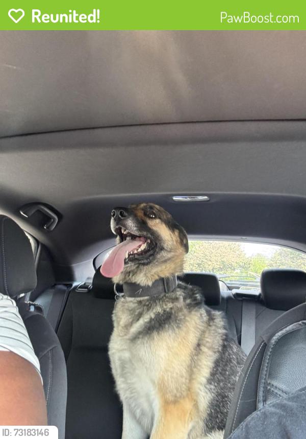 Reunited Male Dog last seen Liberty St, Trenton, NJ, USA, Trenton, NJ 08610