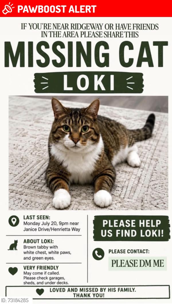 Lost Male Cat last seen Ninth line and Henrietta way, Mississauga, ON L5M 6L4
