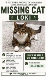 Lost Male Cat last seen Ninth line and Henrietta way, Mississauga, ON L5M 6L4