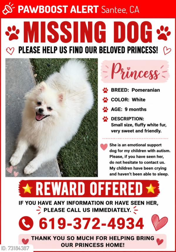 Lost Female Dog last seen Near Erin way santee ca 92071, Santee, CA 92071