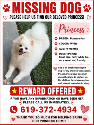 Lost Female Dog last seen Near Erin way santee ca 92071, Santee, CA 92071