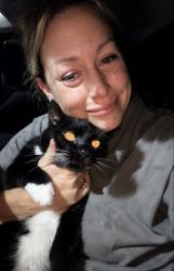 Reunited Male Cat last seen Winfield MO, Winfield, MO 63389