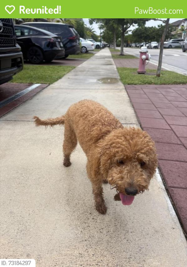 Reunited Unknown Dog last seen Aquabella, 3590 W 104 Ter - Hialeah, FL 33018, Hialeah, FL 33018