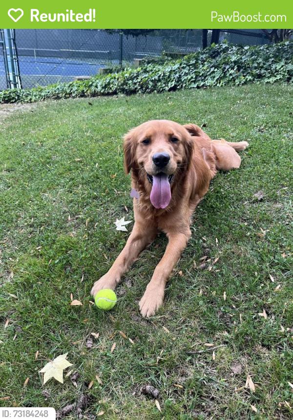 Reunited Male Dog last seen Near Via Alicante unit 46, Via Malorca, near La Jolla Village, Gilman, UCSD, San Diego, CA 92037