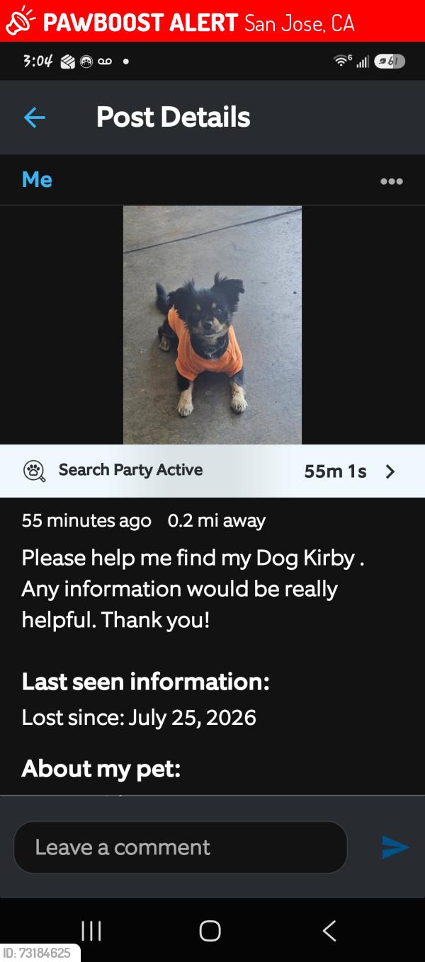 Lost Male Dog last seen Gerardo, San Jose, CA 95111