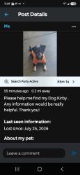 Lost Male Dog last seen Gerardo, San Jose, CA 95111