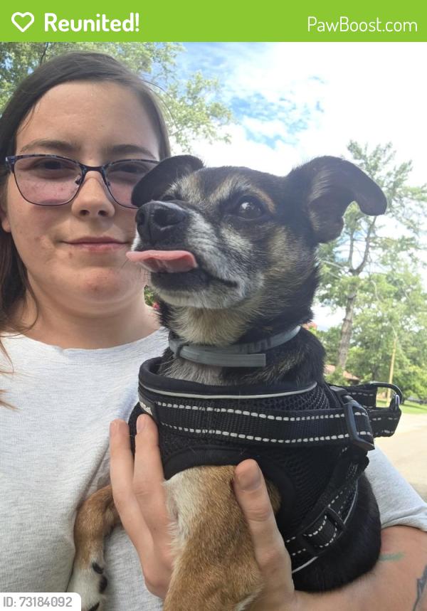 Reunited Male Dog last seen Shallowford road., Chattanooga, TN 37421