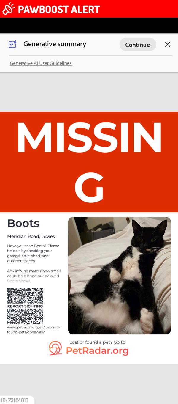 Lost Female Cat last seen Blois road, East Sussex, England BN7 2TL