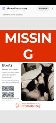 Lost Female Cat last seen Blois road, East Sussex, England BN7 2TL