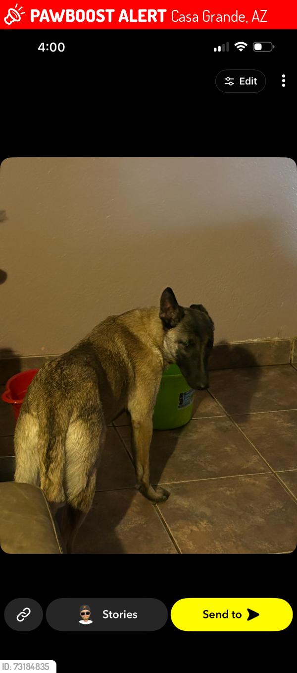 Lost Female Dog last seen Trekell anxCoftonwood, Casa Grande, AZ 85122