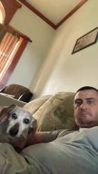Lost Male Dog last seen Near Simon ave, Edmond, OK 73003