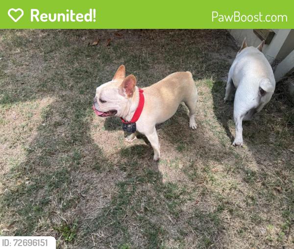 Reunited Unknown Dog last seen Rookery, Conroe, TX 77385