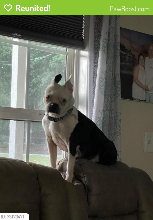 Reunited Female Dog last seen Woodley Rd and Miles Drive one street over from 221 going towards Arkwright, Spartanburg, SC 29306