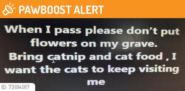 Found/Stray Unknown Cat last seen Lake Josephine, Highlands County, FL 33875