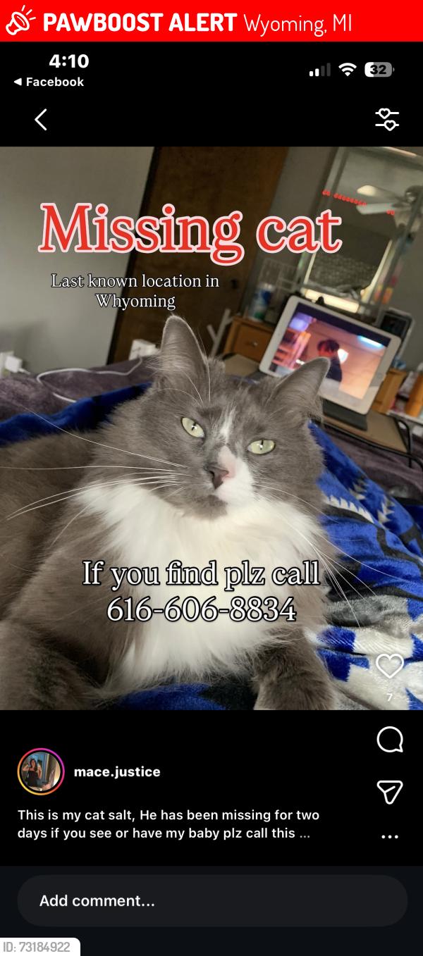Lost Male Cat last seen Byron center and 44th, Wyoming, MI 49519