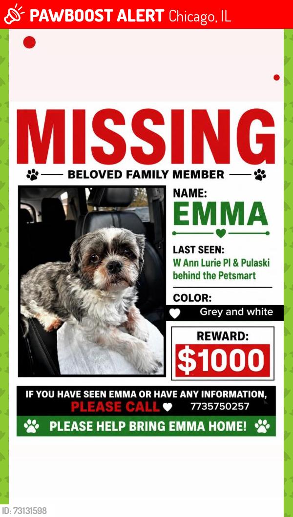 Lost Female Dog last seen Near South Pulaski Road, Chicago, IL, USA, Chicago, IL 60632