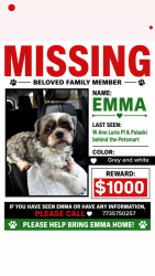 Lost Female Dog last seen Near South Pulaski Road, Chicago, IL, USA, Chicago, IL 60632