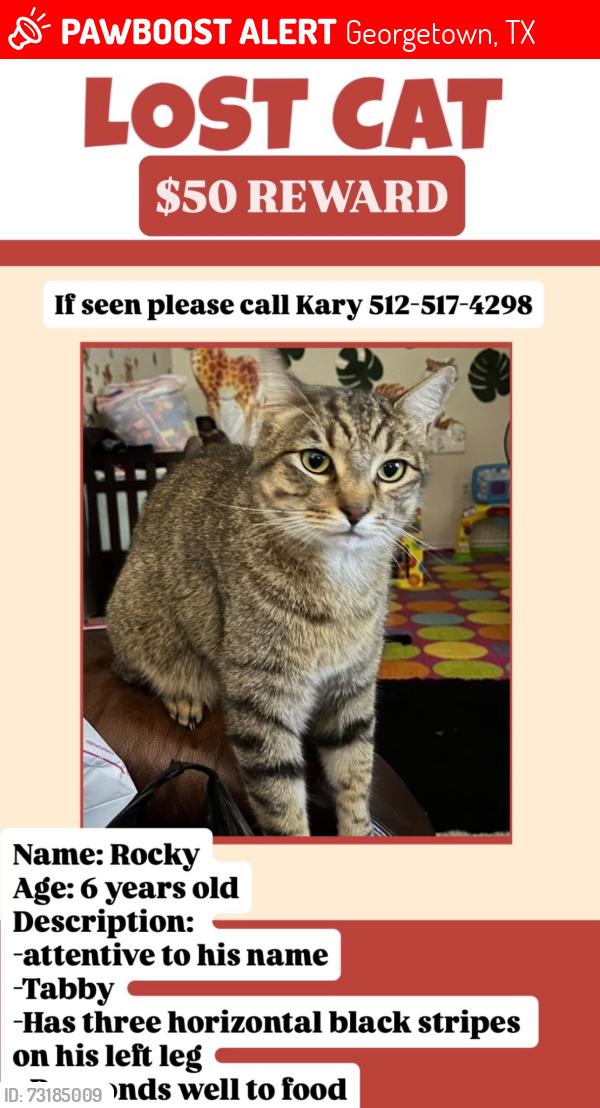 Lost Male Cat last seen Williams Dr, Georgetown, TX 78628