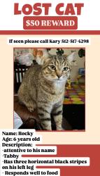 Lost Male Cat last seen Williams Dr, Georgetown, TX 78628