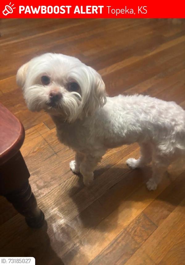 Lost Female Dog last seen Se 22nd street, Topeka, KS 66605