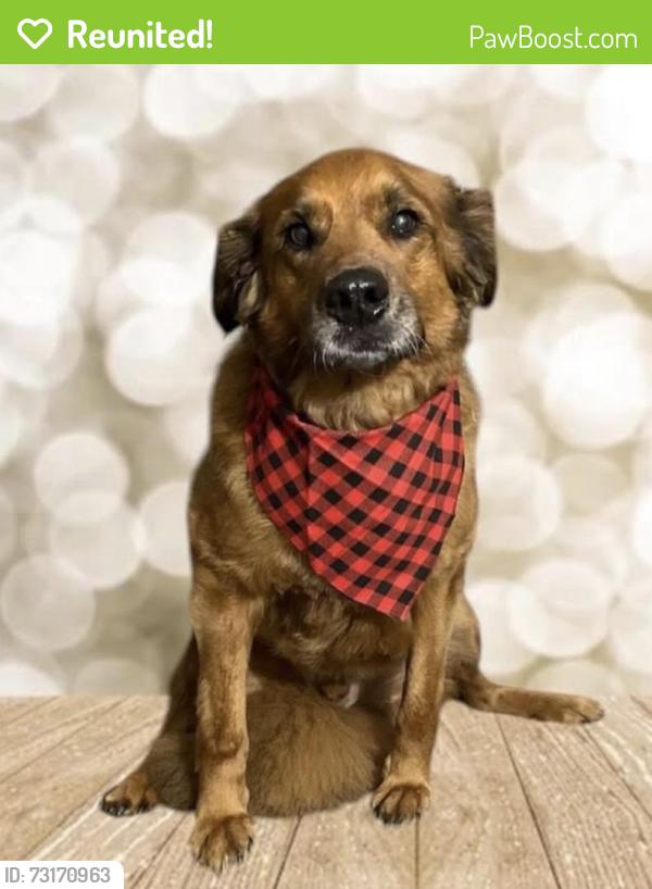 Reunited Male Dog last seen Near Memorial Park Drive, Thomasville, NC 27360