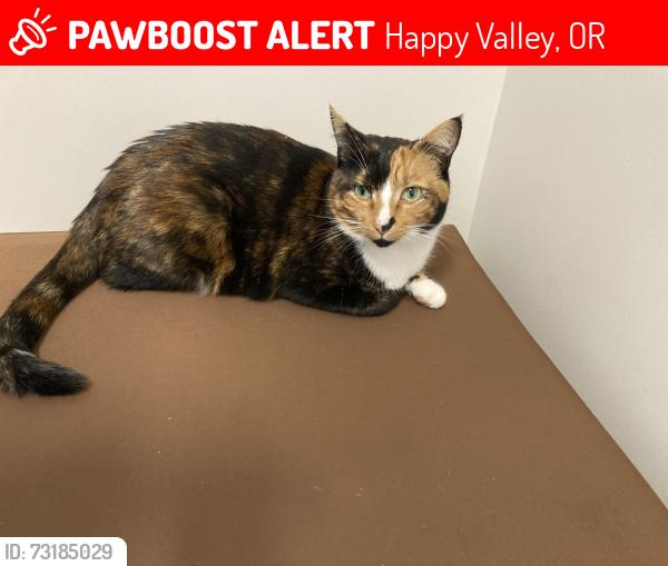 Lost Female Cat last seen Nightingale, Happy Valley Cherry Land, Wood Duck Lane, Happy Valley, OR 97015