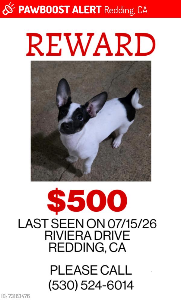 Lost Female Dog last seen Riveria Dr, Redding, CA 96001