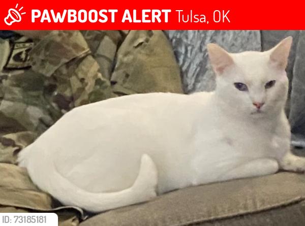 Lost Male Cat last seen Hampton Hills apmts, Tulsa, OK 74101