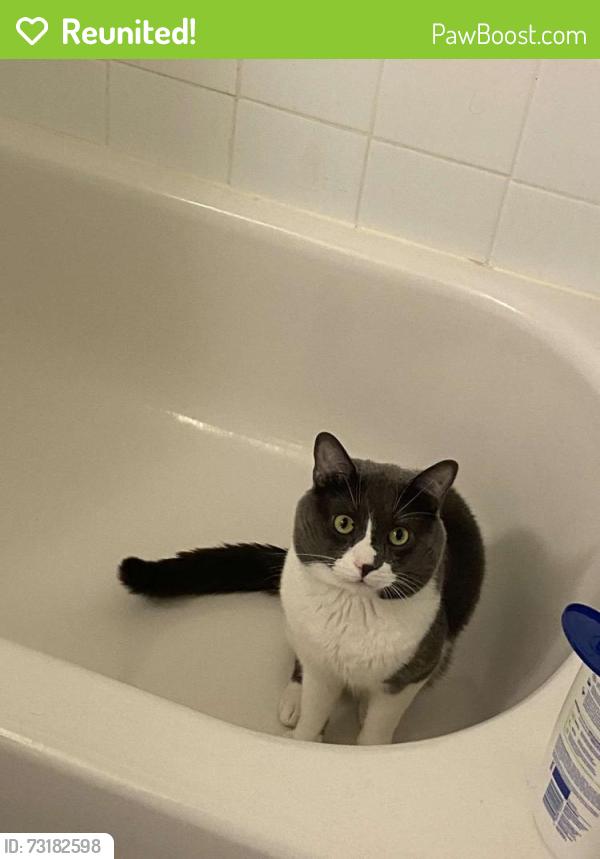 Reunited Male Cat last seen Mississauga Road and Lakeshore Road West, Mississauga, ON L5H 0A7