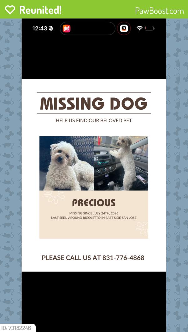 Reunited Female Dog last seen Quimby rigoletto eastridge mall, San Jose, CA 95122