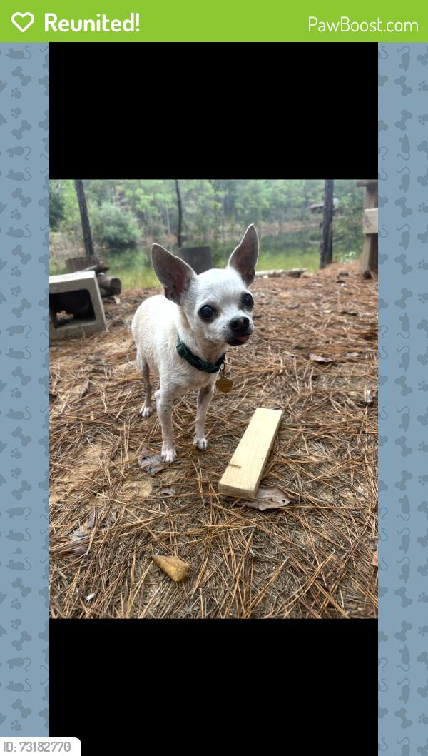 Reunited Male Dog last seen Maple St & Montclair St, San Diego, CA 92104