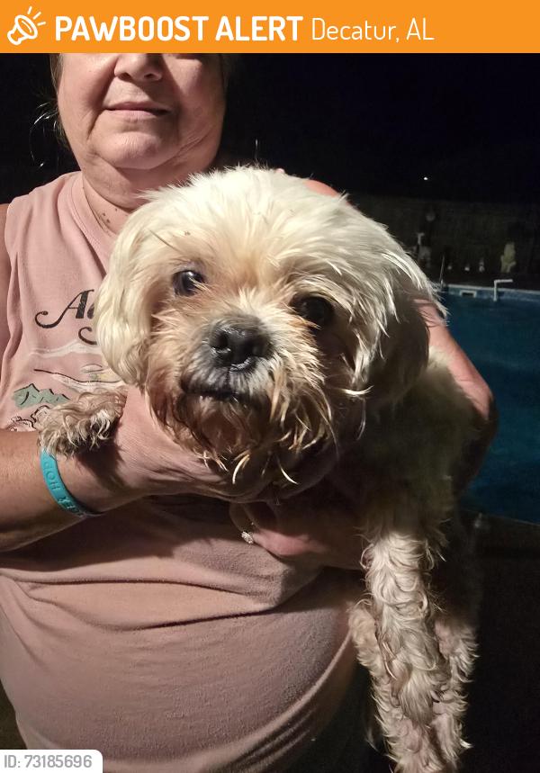 Found/Stray Male Dog last seen Dodd st sw abd Freemont street sw, Decatur, AL 35601