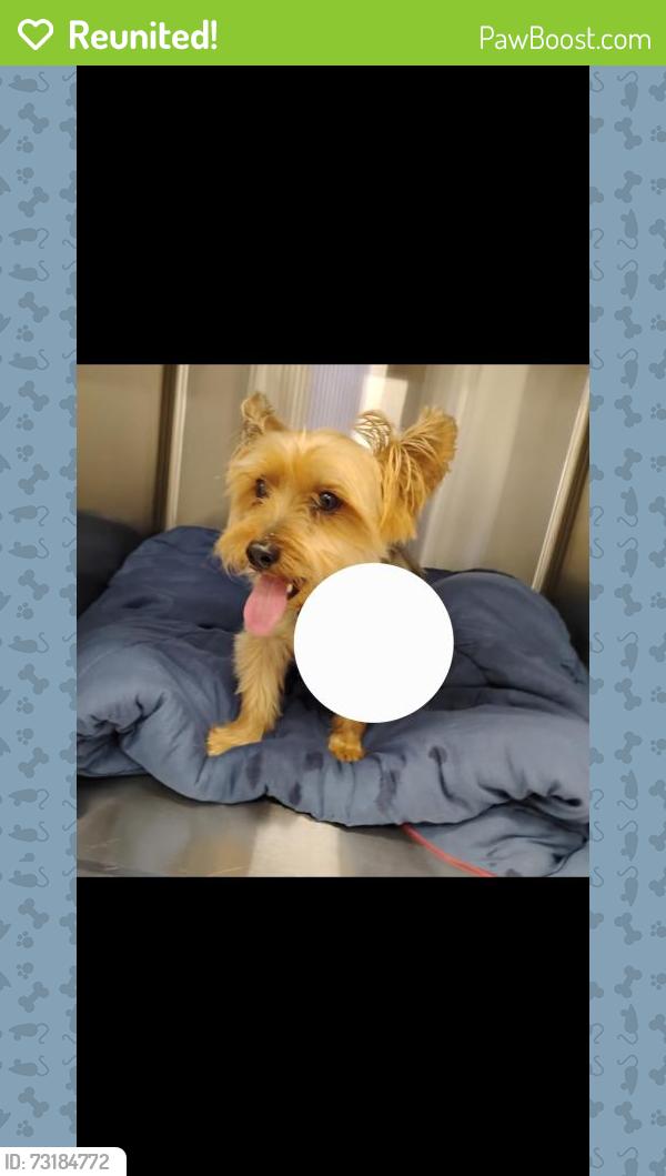 Reunited Unknown Dog last seen Pettis and Cannonsburg, Cannonsburg, MI 49341
