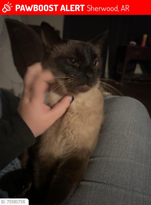 Lost Female Cat last seen Parkridge Dr, Brookway Ln, Kellog Rv Park, Sherwood, AR 72120