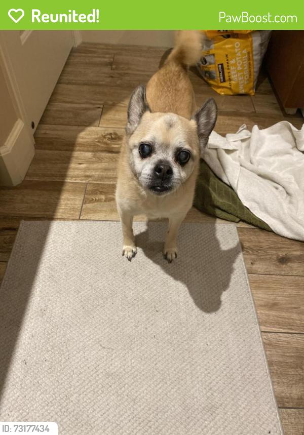 Reunited Male Dog last seen Nevis way And Westport.(Rockhampton two), Boise, ID 83709