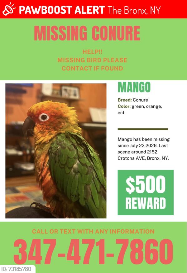 Lost Unknown Bird last seen Last seen up in trees in the area but blown farther away by the wind, The Bronx, NY 10457