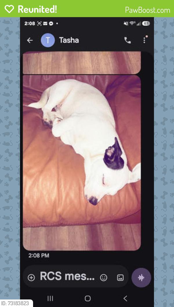Reunited Female Dog last seen Briar patch store, Campobello, SC 29322